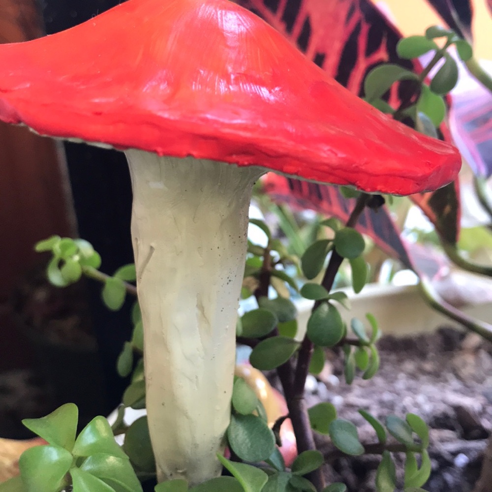 MUSHROOM 🍄 GARDEN STAKE TALISMAN ALGIZ RUNE ✨ - Picture 10 of 16